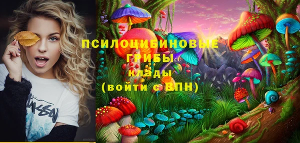 ПСИЛОЦИБИНОВЫЕ ГРИБЫ Верхнеуральск