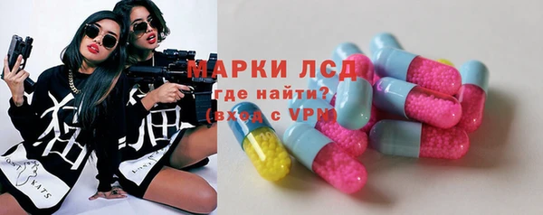 PSILOCYBIN Волосово