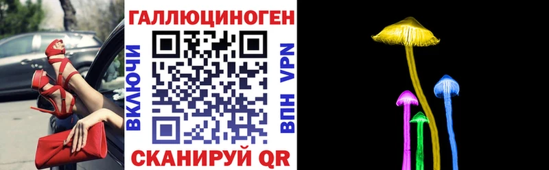 Псилоцибиновые грибы прущие грибы  купить наркоту  Дятьково 